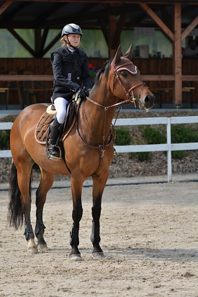 Skoková soutěž stupně „Z“ na limitovaný čas