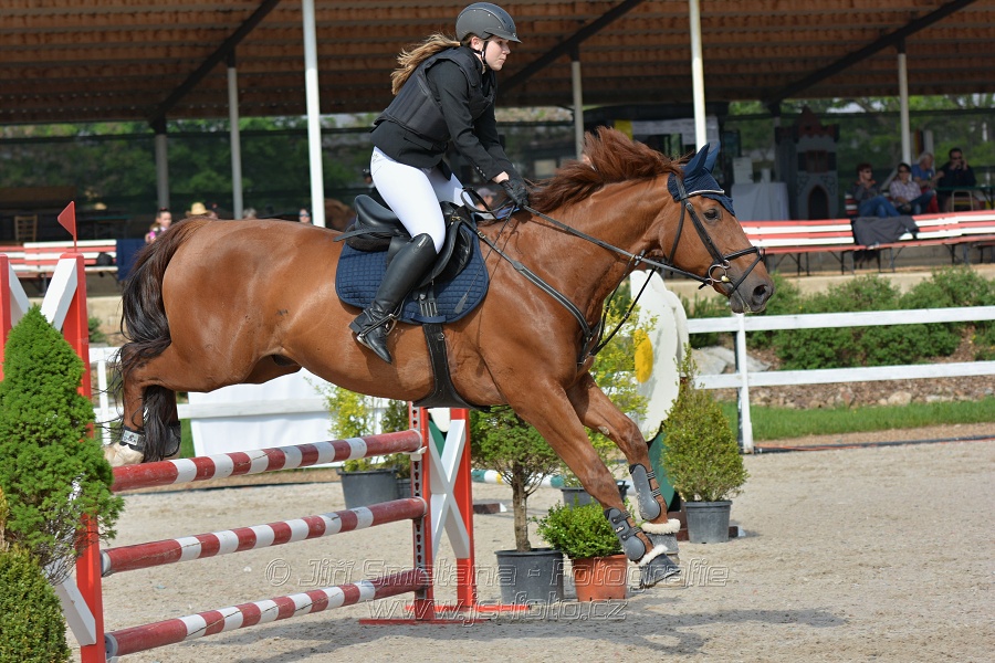 Skoková soutěž stupně „Z“ na limitovaný čas