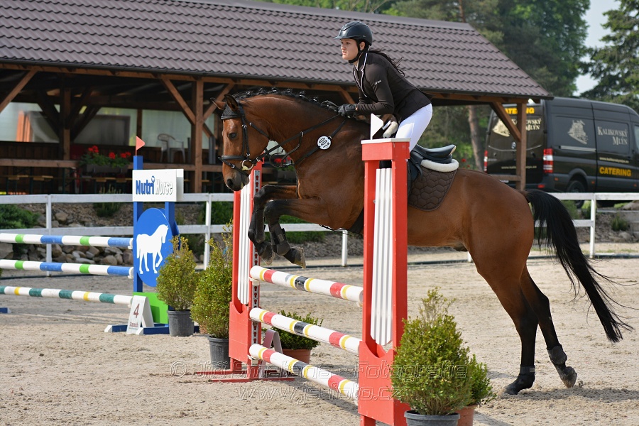 Skoková soutěž stupně „Z“ na limitovaný čas