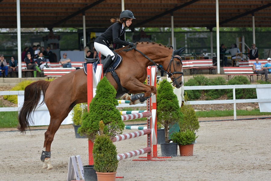 Skoková soutěž stupně „Z“ na limitovaný čas