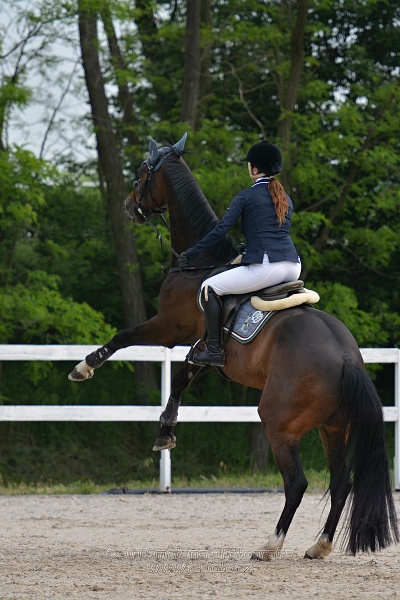 Skoková soutěž stupně „Z“ na limitovaný čas