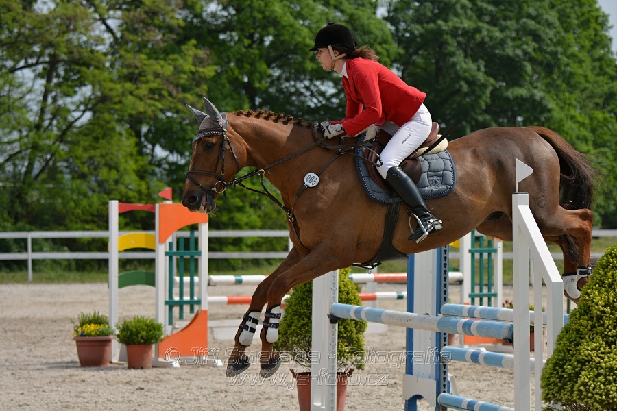 Skoková soutěž stupně „Z“ na limitovaný čas