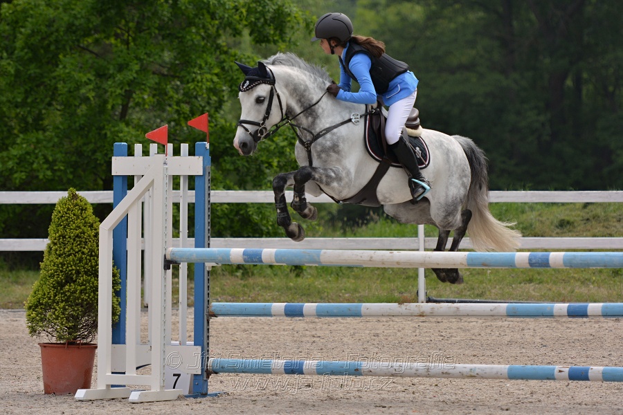 Skoková soutěž stupně „ZL“ na čas