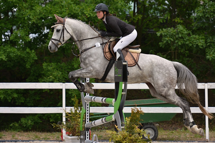 Skoková soutěž stupně „ZL“ na čas