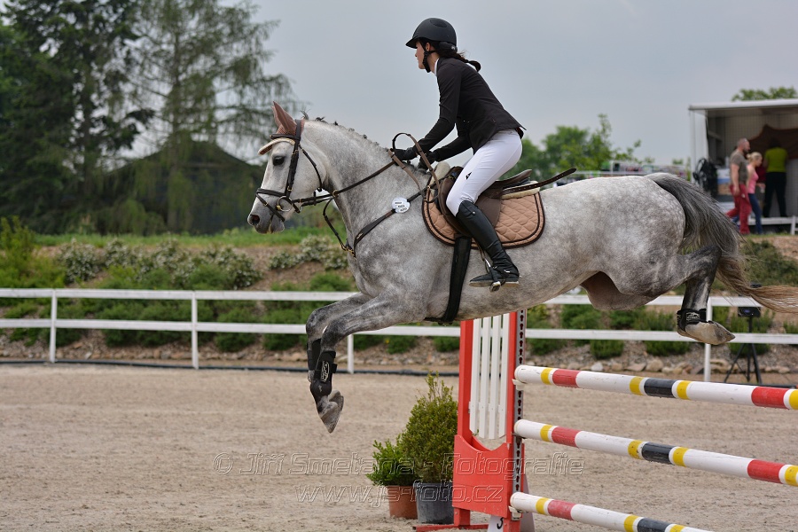 Skoková soutěž stupně „ZL“ na čas