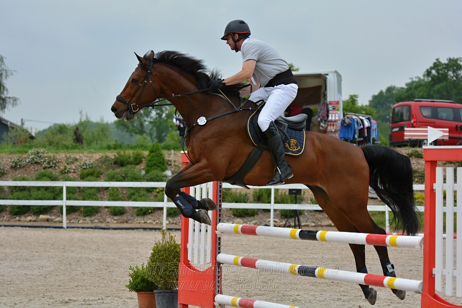 Skoková soutěž stupně „ZL“ na čas