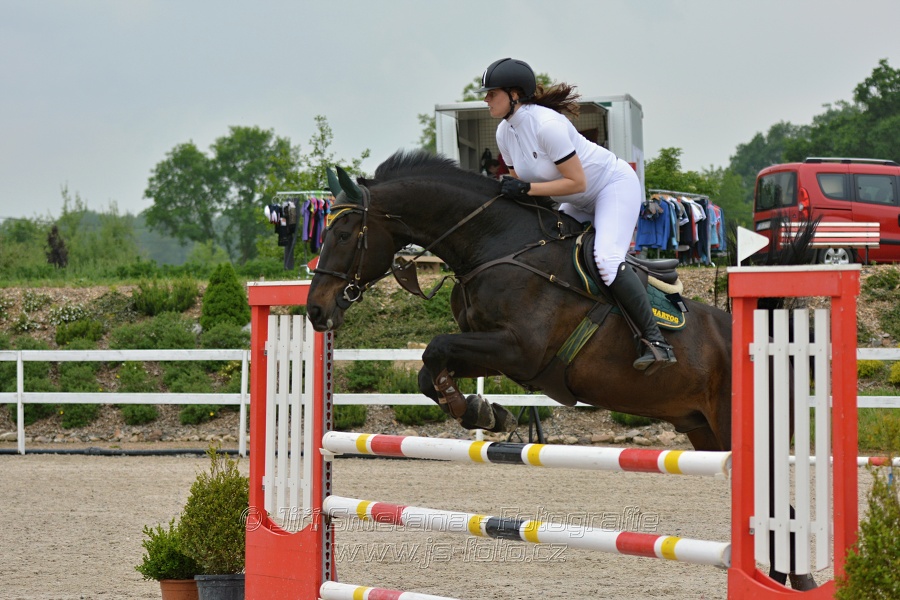 Skoková soutěž stupně „ZL“ na čas