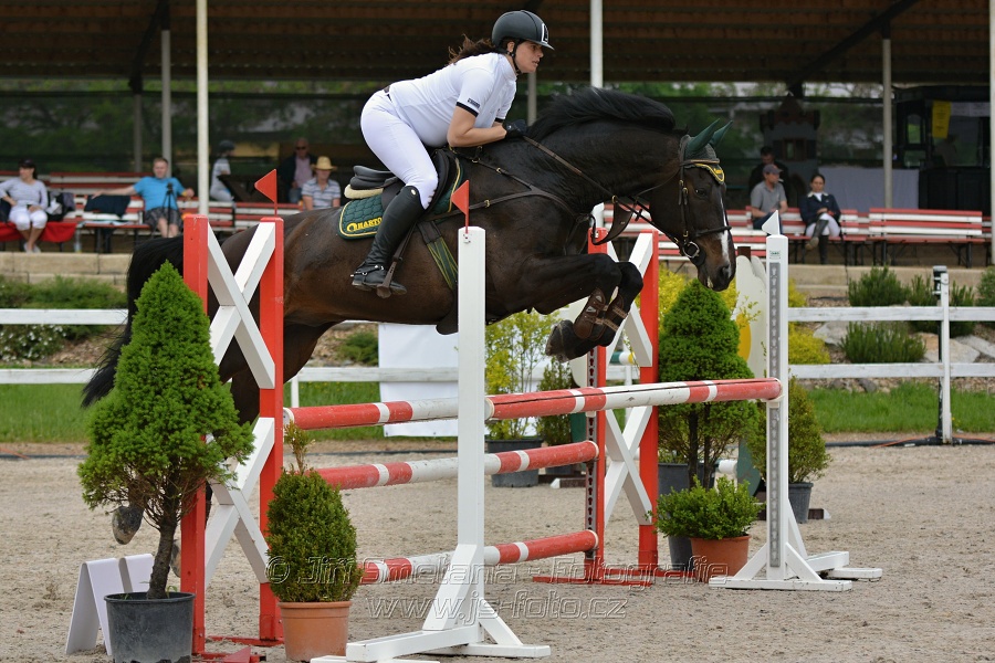 Skoková soutěž stupně „ZL“ na čas