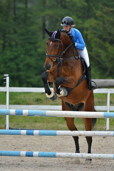 Skoková soutěž stupně „ZL“ na čas