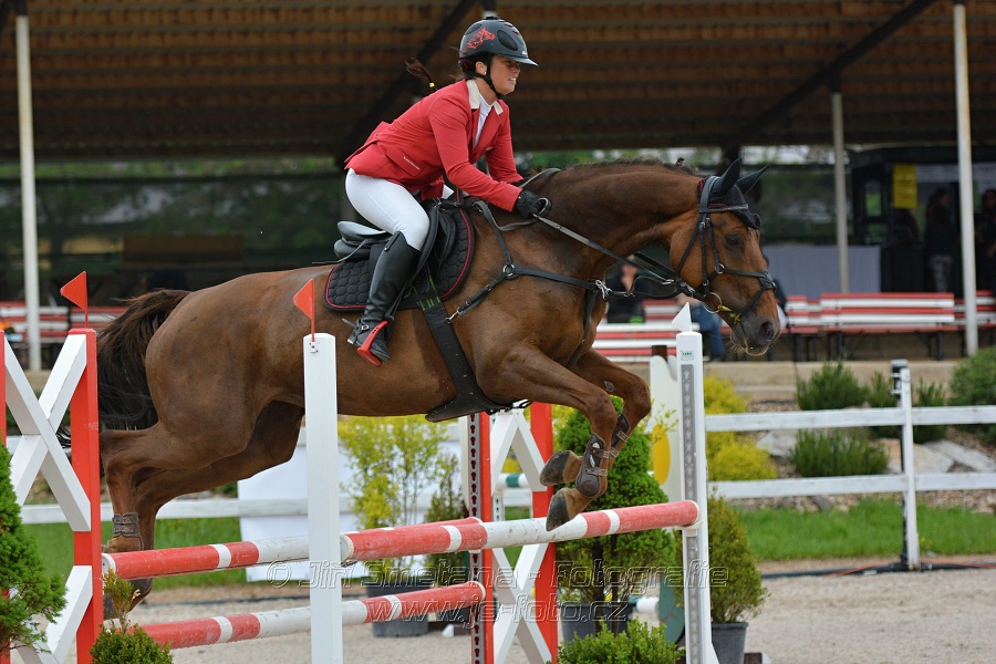 Skoková soutěž stupně „ZL“ na čas