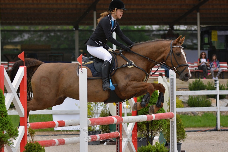 Skoková soutěž stupně „ZL“ na čas