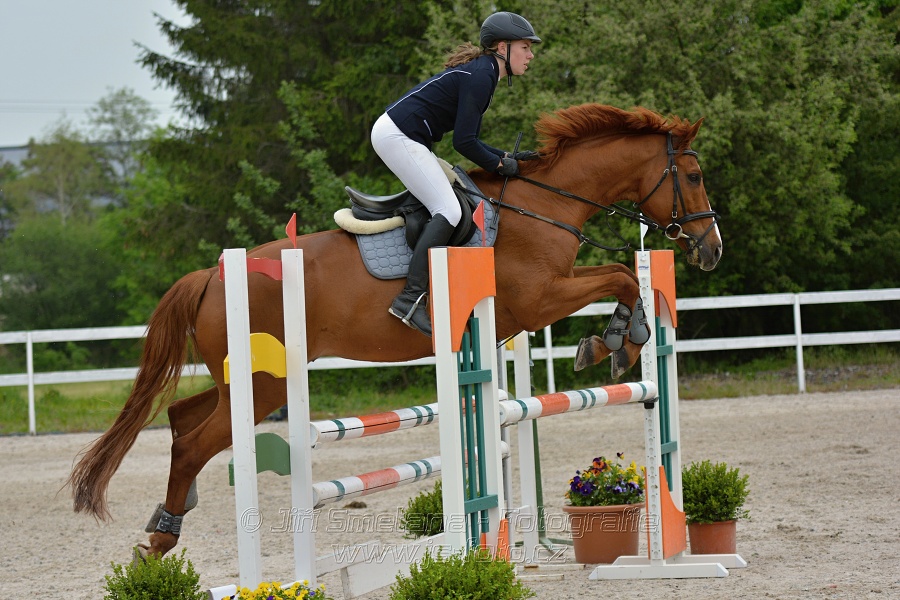 Skoková soutěž stupně „ZL“ na čas