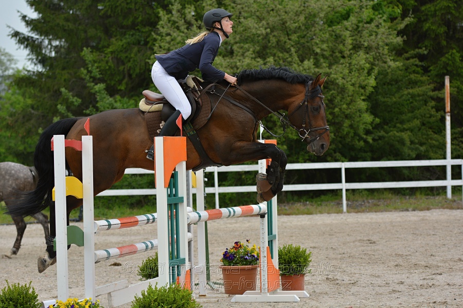 Skoková soutěž stupně „ZL“ na čas