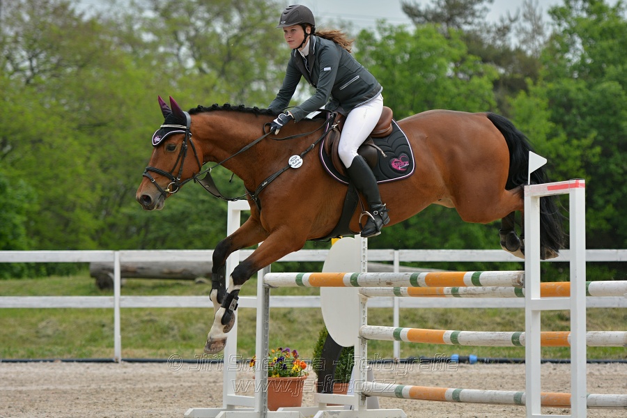 Skoková soutěž stupně „ZL“ na čas