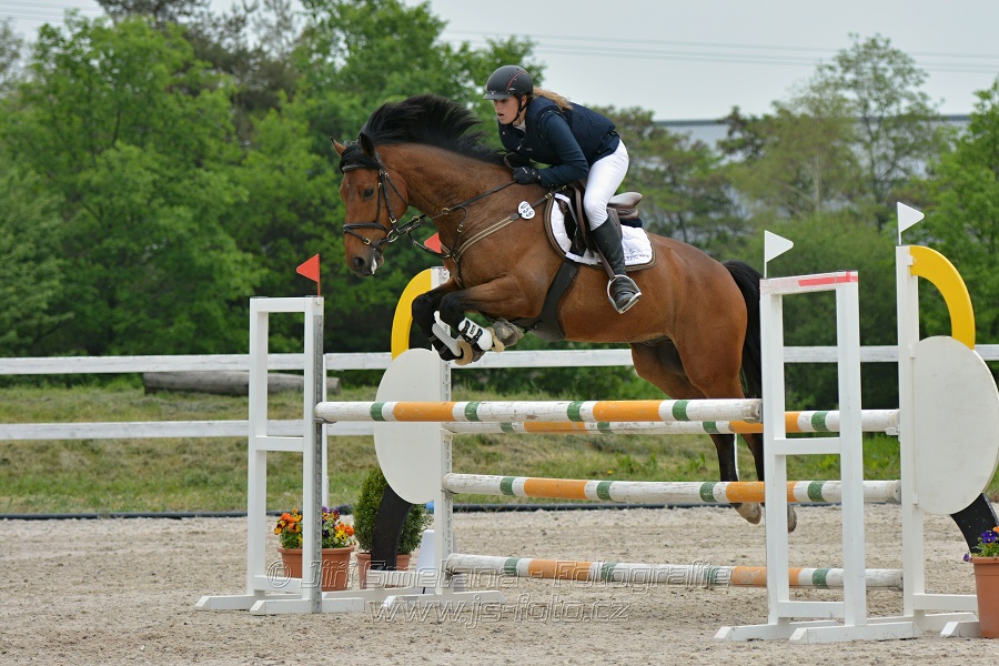 Skoková soutěž stupně „ZL“ na čas