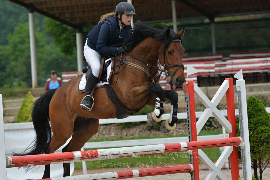 Skoková soutěž stupně „ZL“ na čas