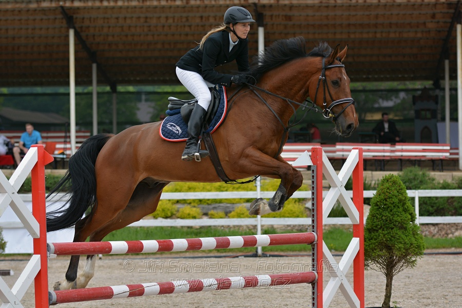 Skoková soutěž stupně „ZL“ na čas