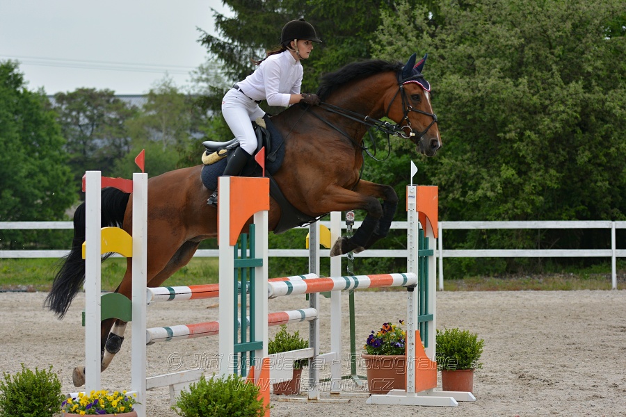 Skoková soutěž stupně „ZL“ na čas