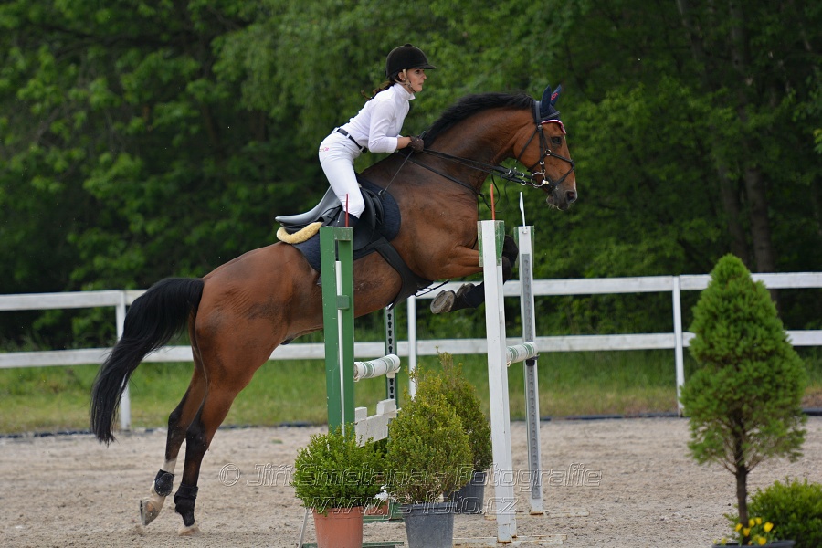 Skoková soutěž stupně „ZL“ na čas