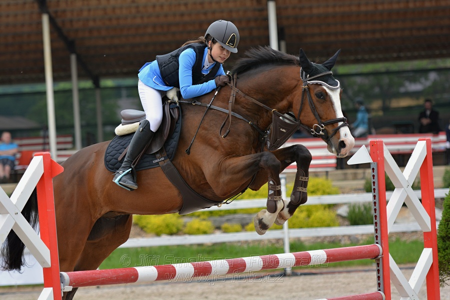 Skoková soutěž stupně „ZL“ na čas