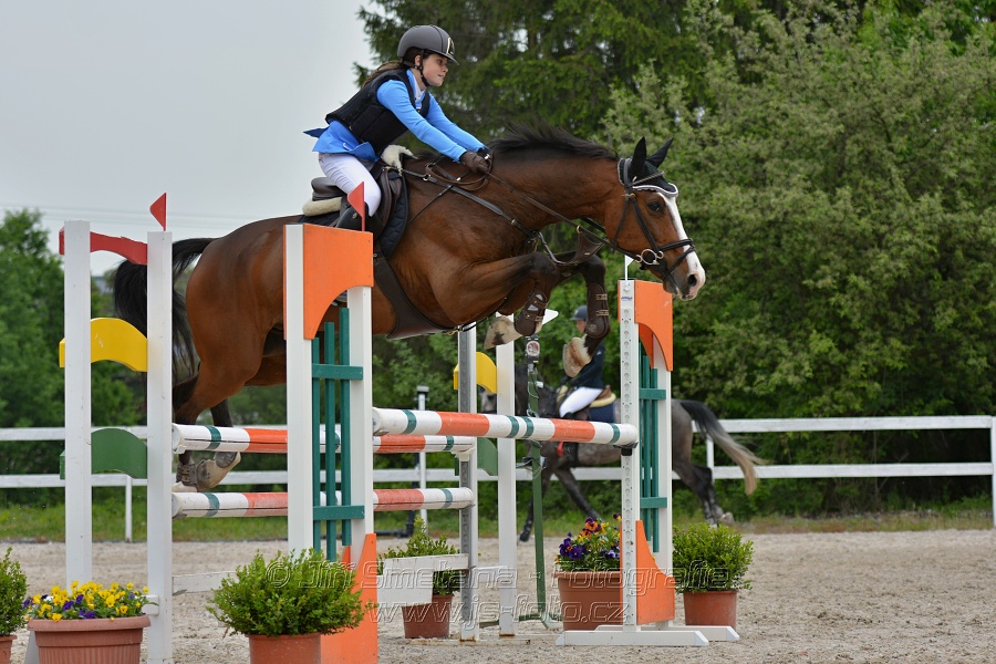 Skoková soutěž stupně „ZL“ na čas