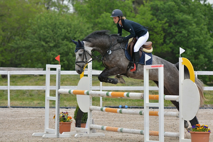 Skoková soutěž stupně „ZL“ na čas