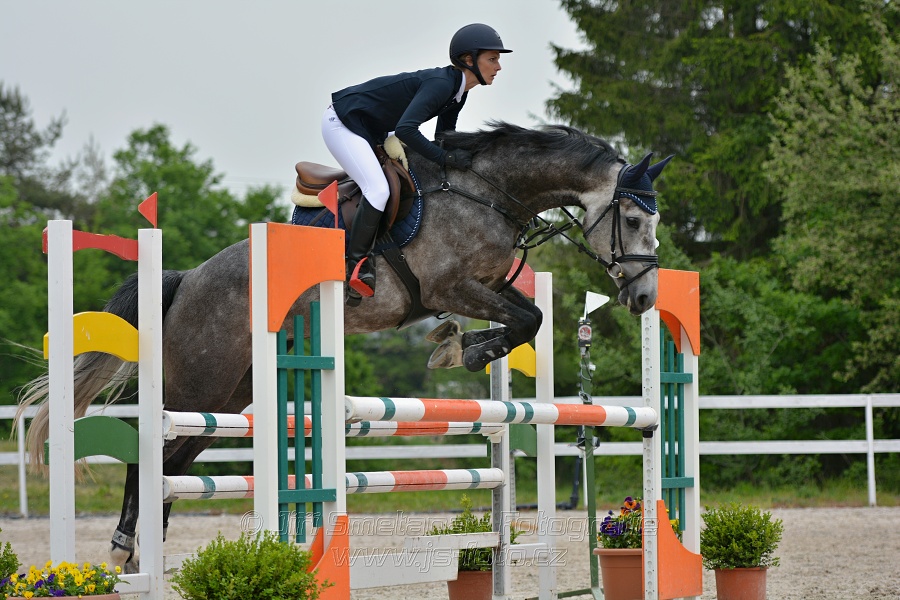 Skoková soutěž stupně „ZL“ na čas