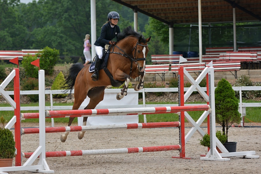 Skoková soutěž stupně „ZL“ na čas
