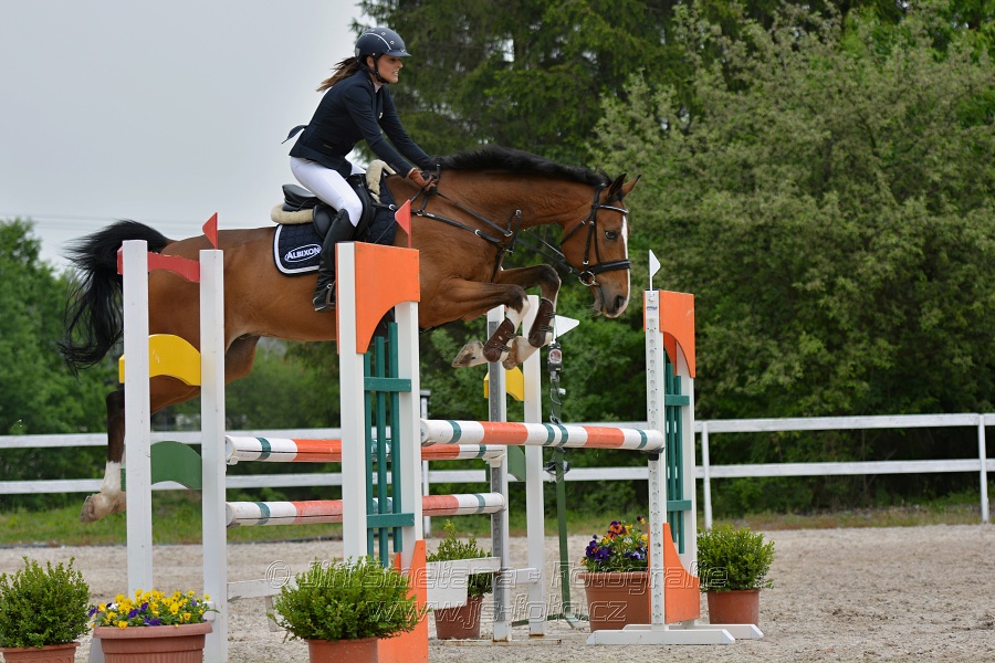 Skoková soutěž stupně „ZL“ na čas