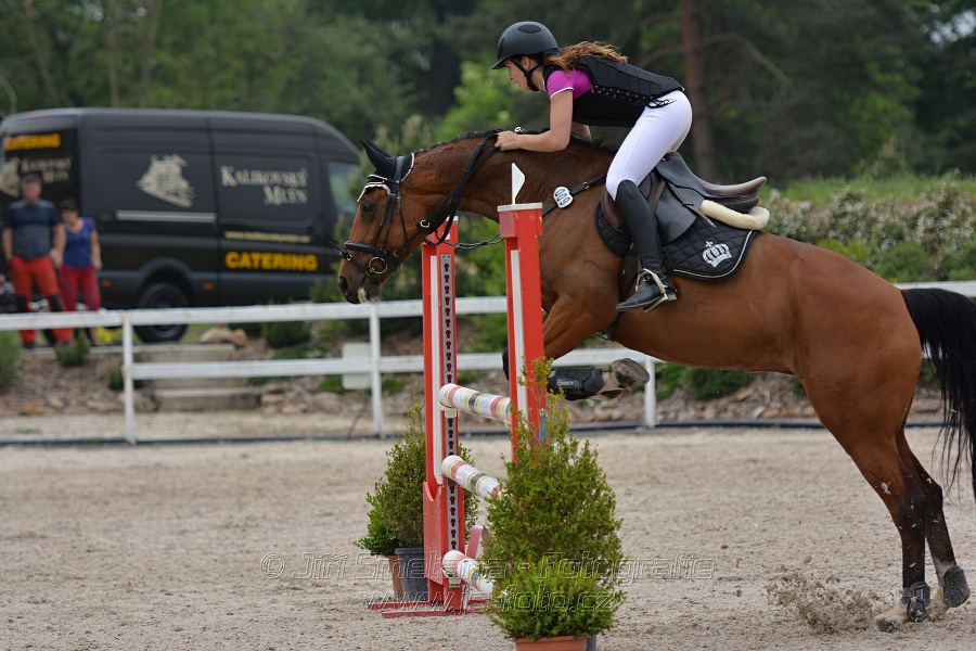 Skoková soutěž stupně „ZL“ na čas