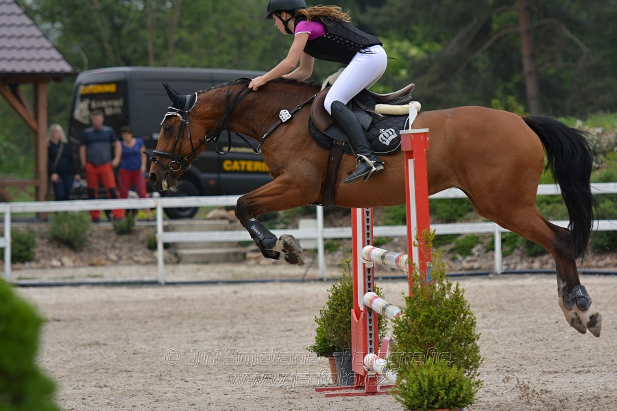 Skoková soutěž stupně „ZL“ na čas