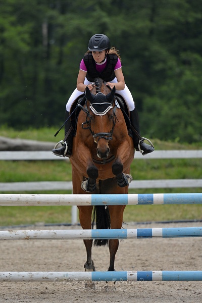 Skoková soutěž stupně „ZL“ na čas