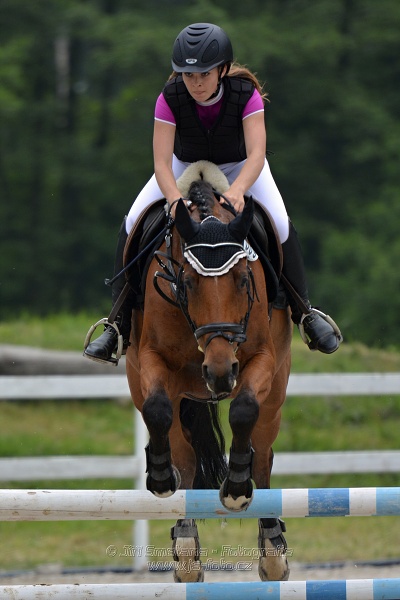 Skoková soutěž stupně „ZL“ na čas
