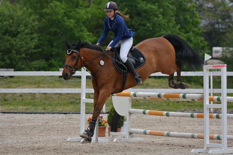 Skoková soutěž stupně „ZL“ na čas