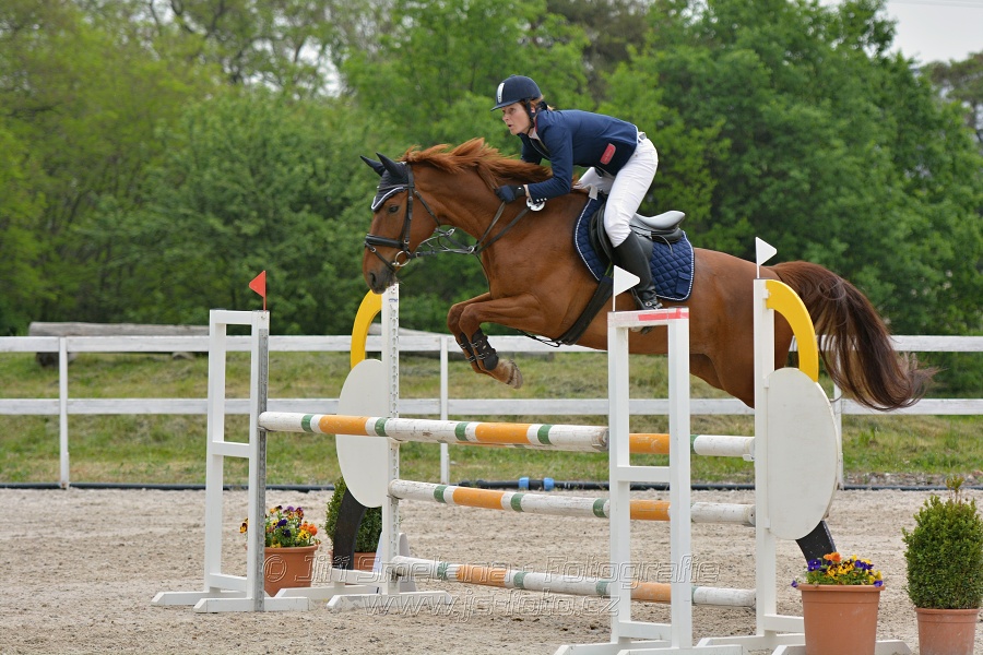 Skoková soutěž stupně „ZL“ na čas