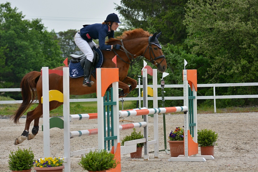 Skoková soutěž stupně „ZL“ na čas