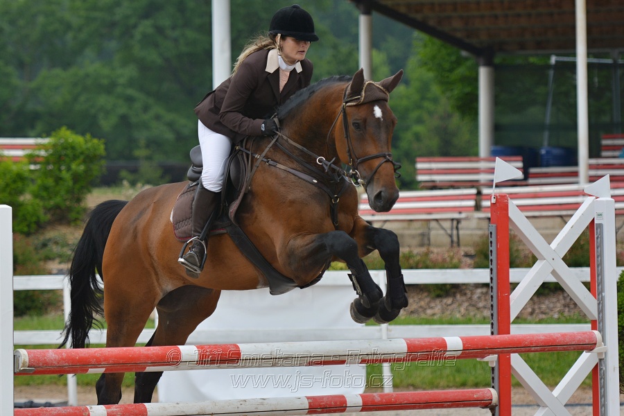 Skoková soutěž stupně „ZL“ na čas