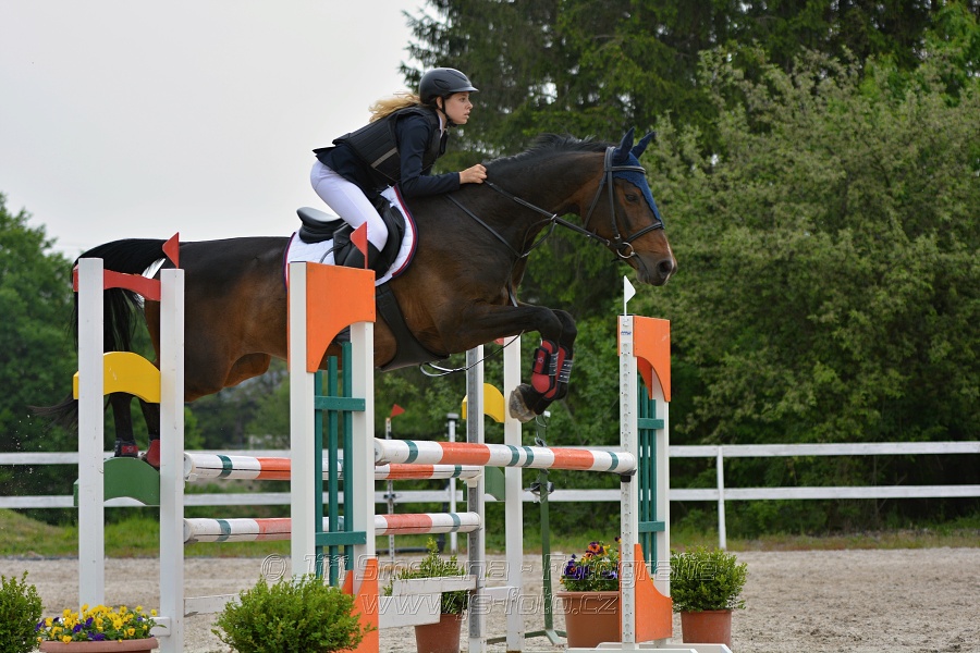 Skoková soutěž stupně „ZL“ na čas