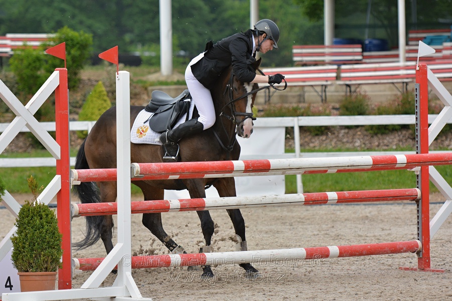 Skoková soutěž stupně „ZL“ na čas