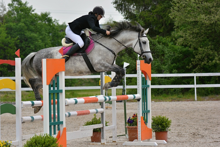 Skoková soutěž stupně „ZL“ na čas