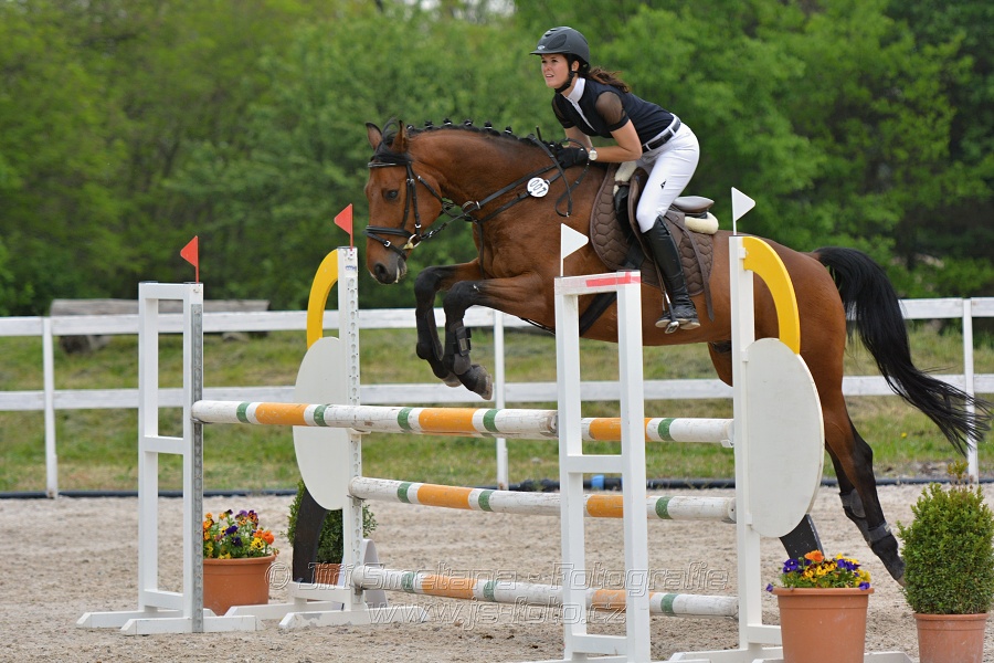 Skoková soutěž stupně „ZL“ na čas