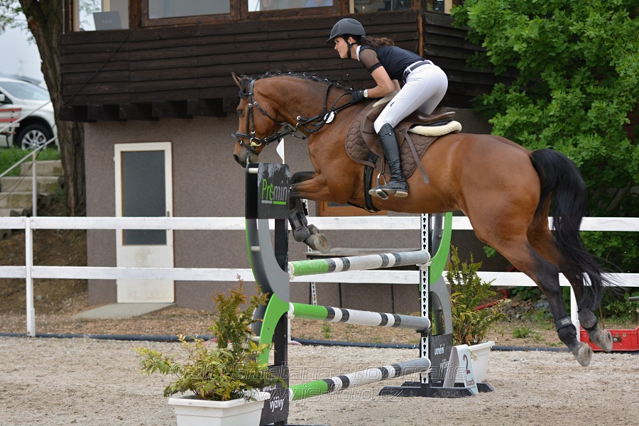 Skoková soutěž stupně „ZL“ na čas