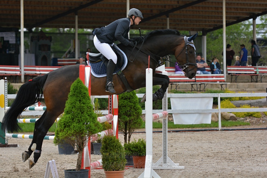 Skoková soutěž stupně „ZL“ na čas