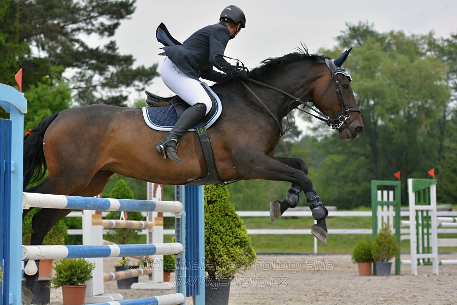 Skoková soutěž stupně „ZL“ na čas