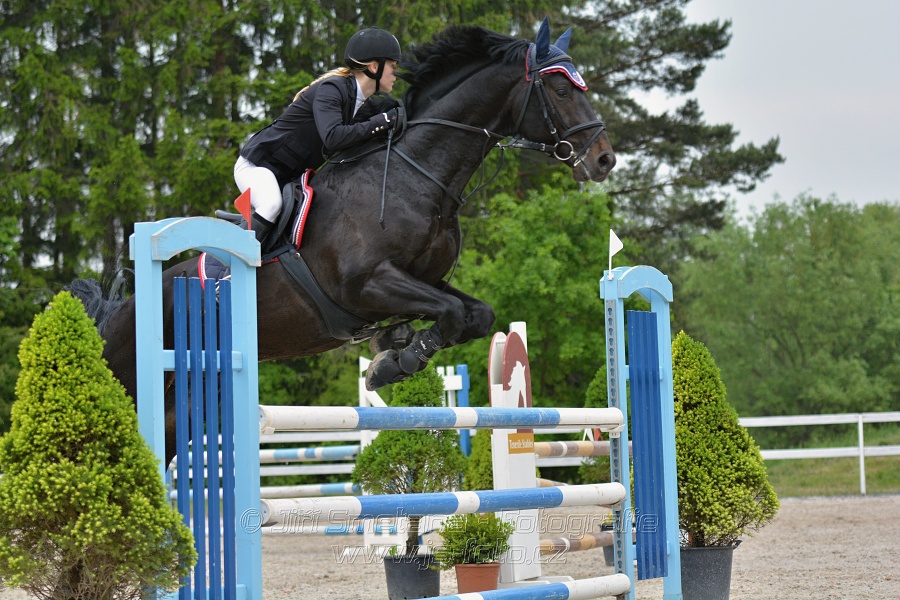 Skoková soutěž stupně „ZL“ na čas