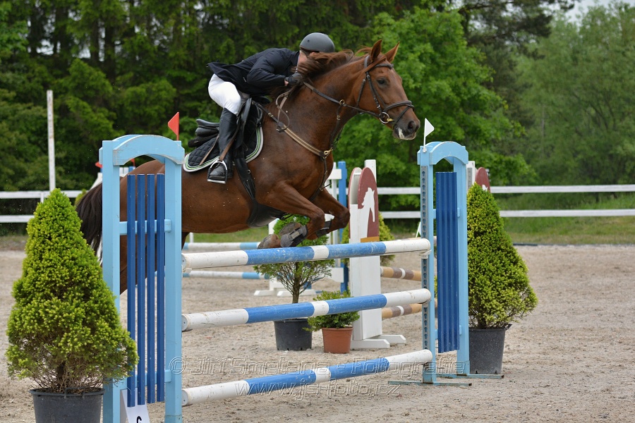 Skoková soutěž stupně „ZL“ na čas