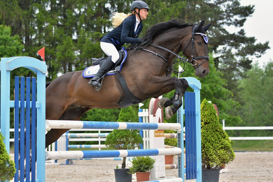 Skoková soutěž stupně „ZL“ na čas