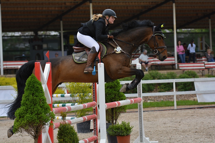 Skoková soutěž stupně „ZL“ na čas