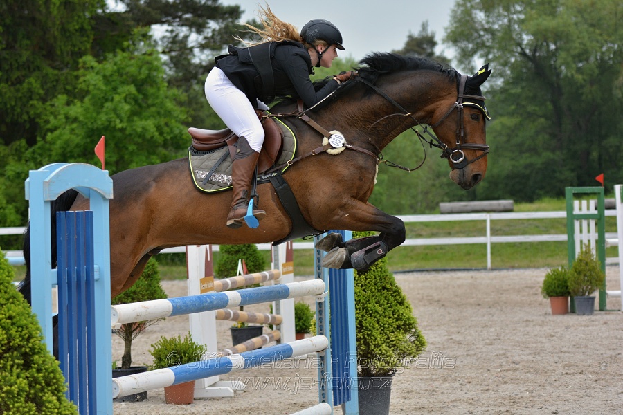 Skoková soutěž stupně „ZL“ na čas