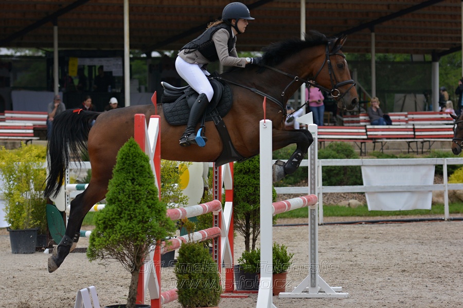 Skoková soutěž stupně „ZL“ na čas